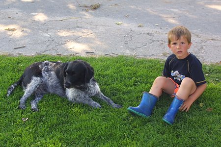 Foto aus der Fotogruppe 