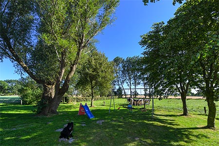 Foto aus der Fotogruppe 