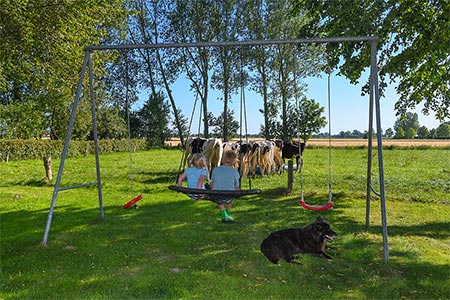 Foto aus der Fotogruppe 