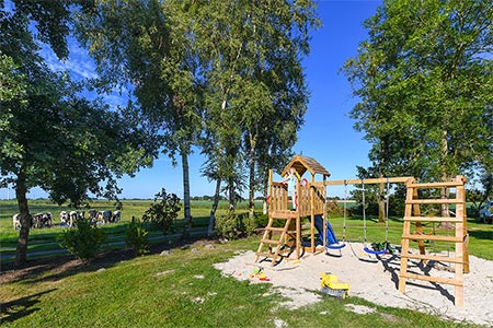 Foto aus der Fotogruppe 